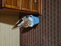no housekeeping