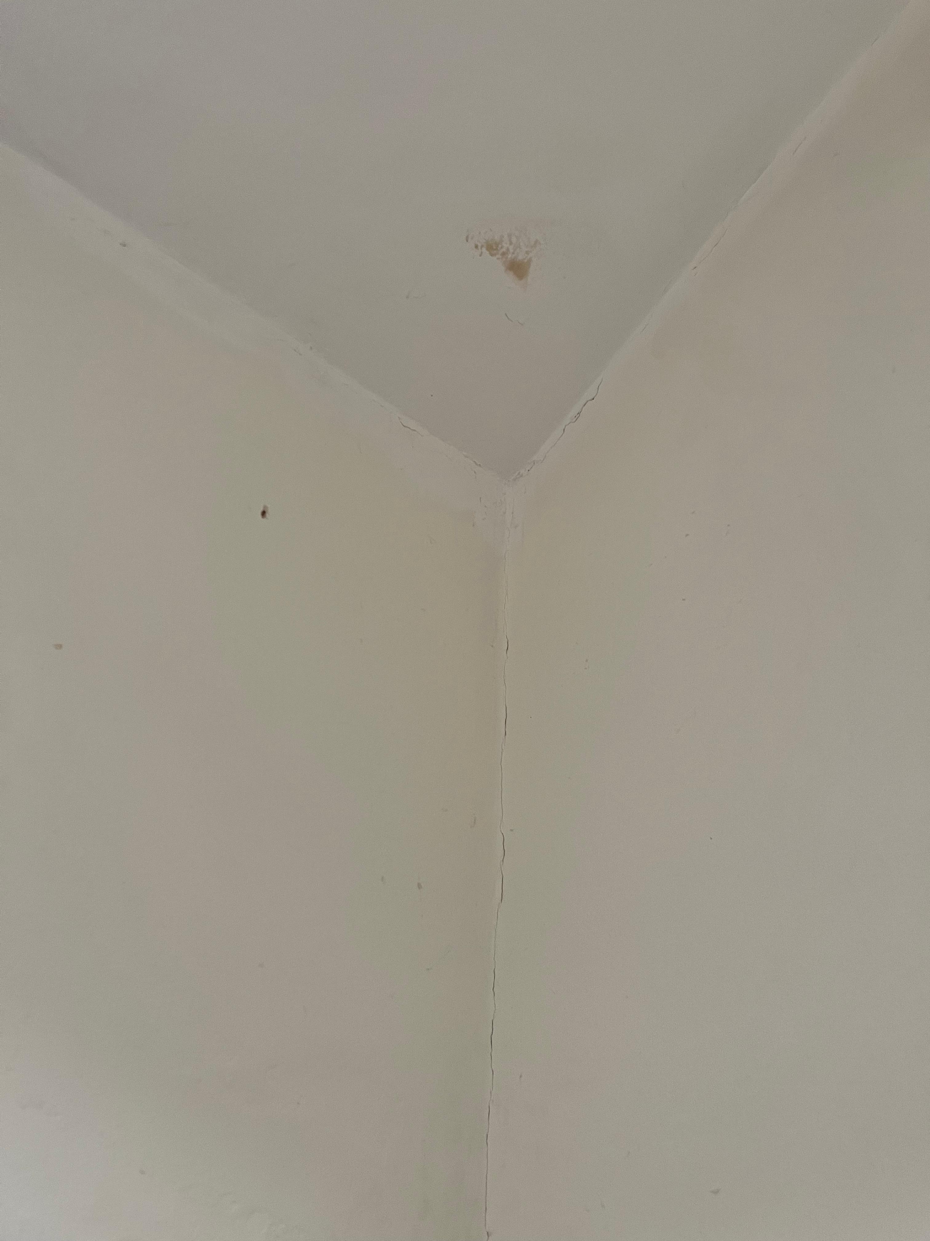 Mould in bedroom corner