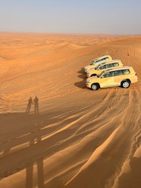 Dune Driving