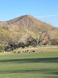 Golf course