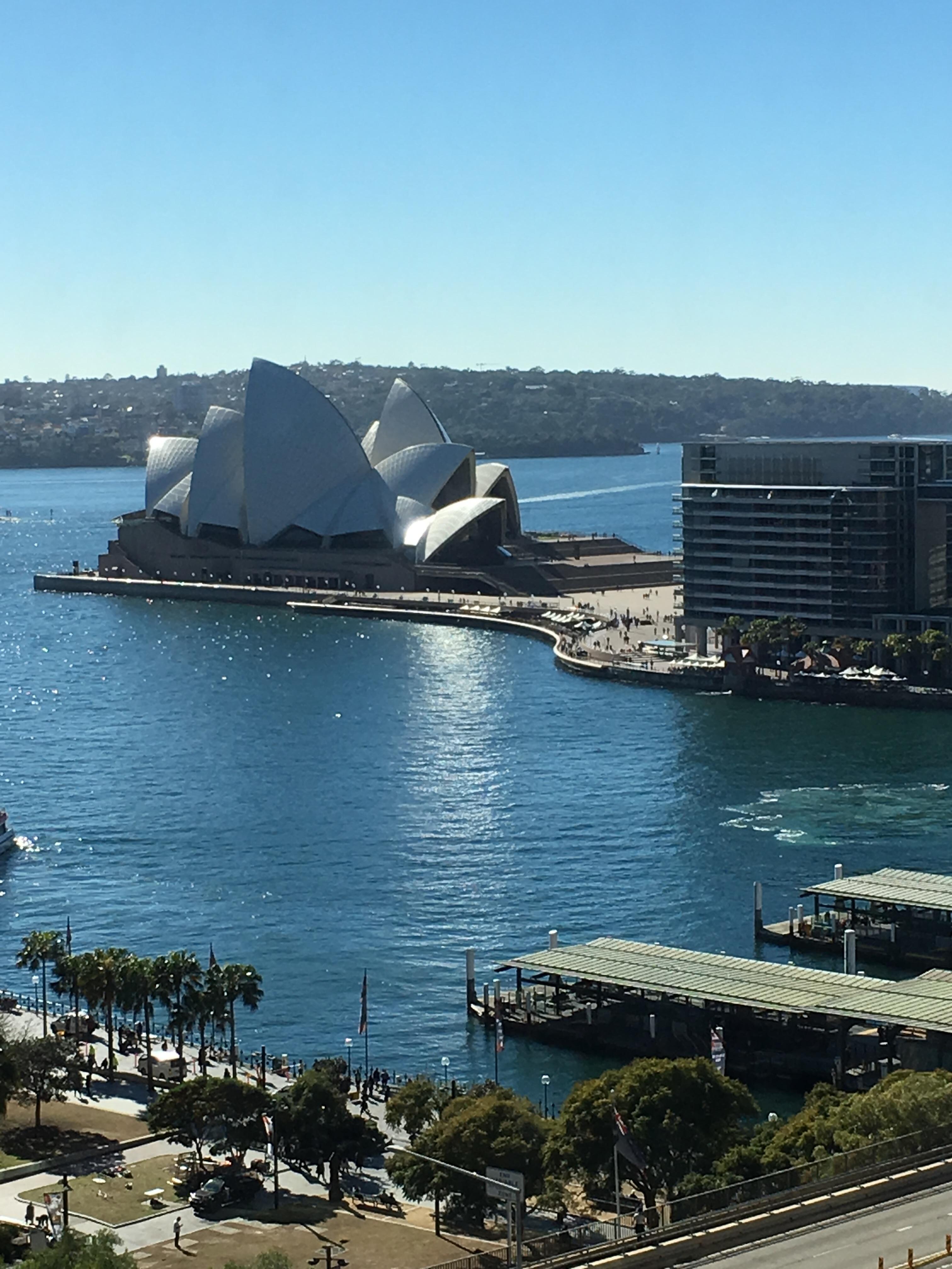 View from the room