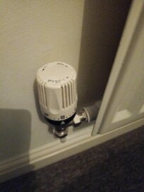 thermostat on bedroom radiator, set to maximum, but it didn't ever come on despite temperatures around 0!