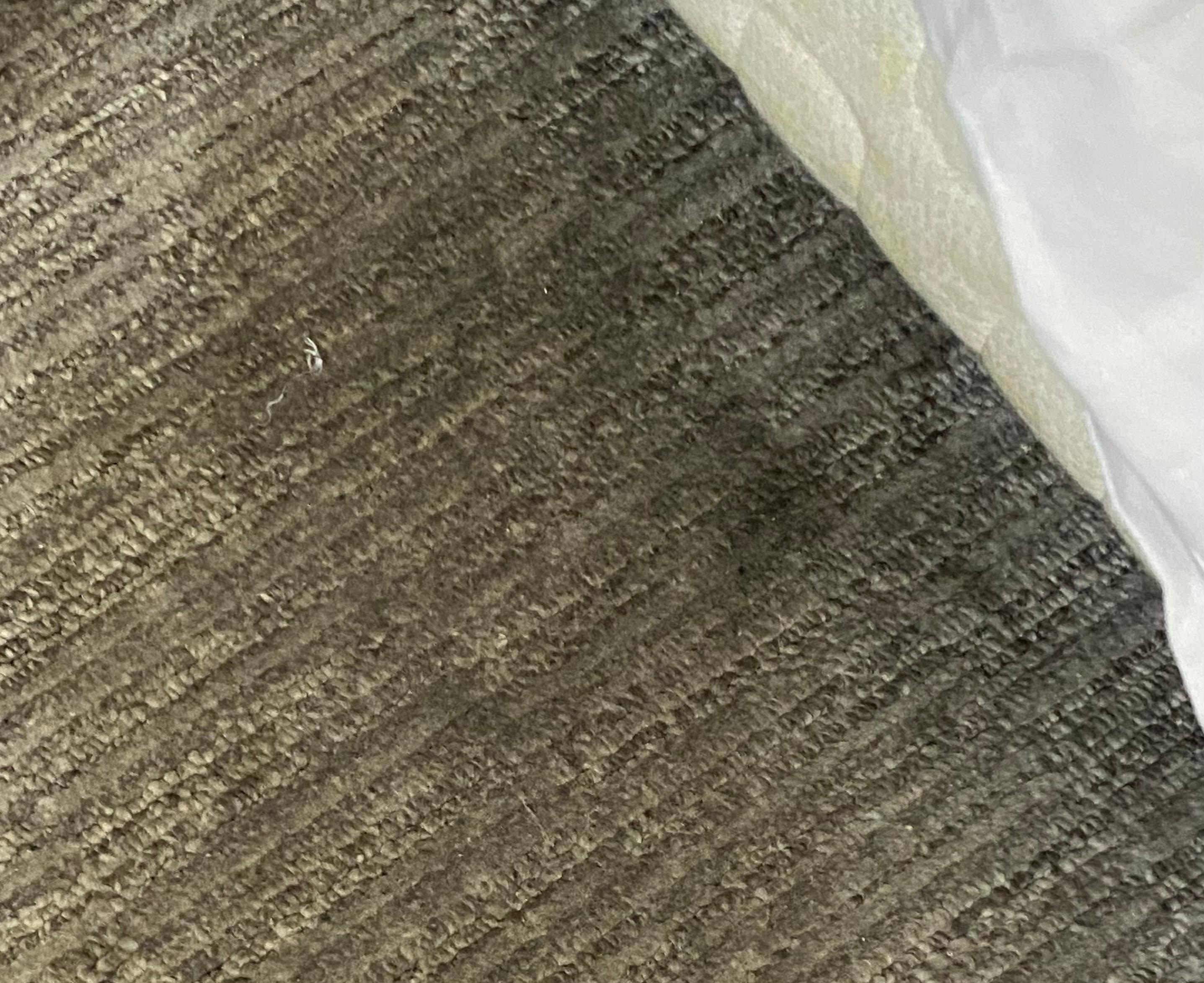 Filthy carpet