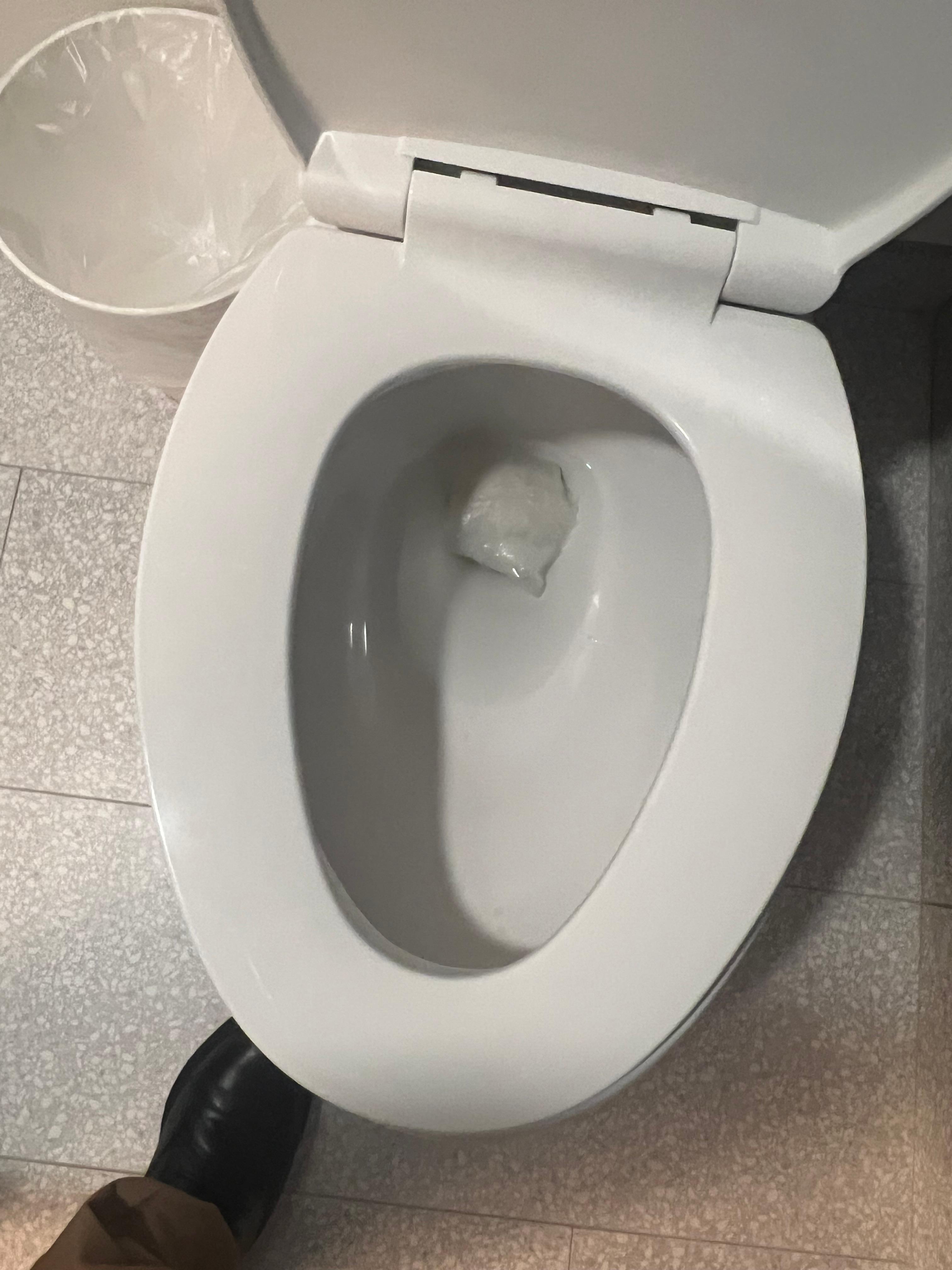 Toilet did not flush properly 