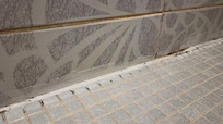 Mold on floor