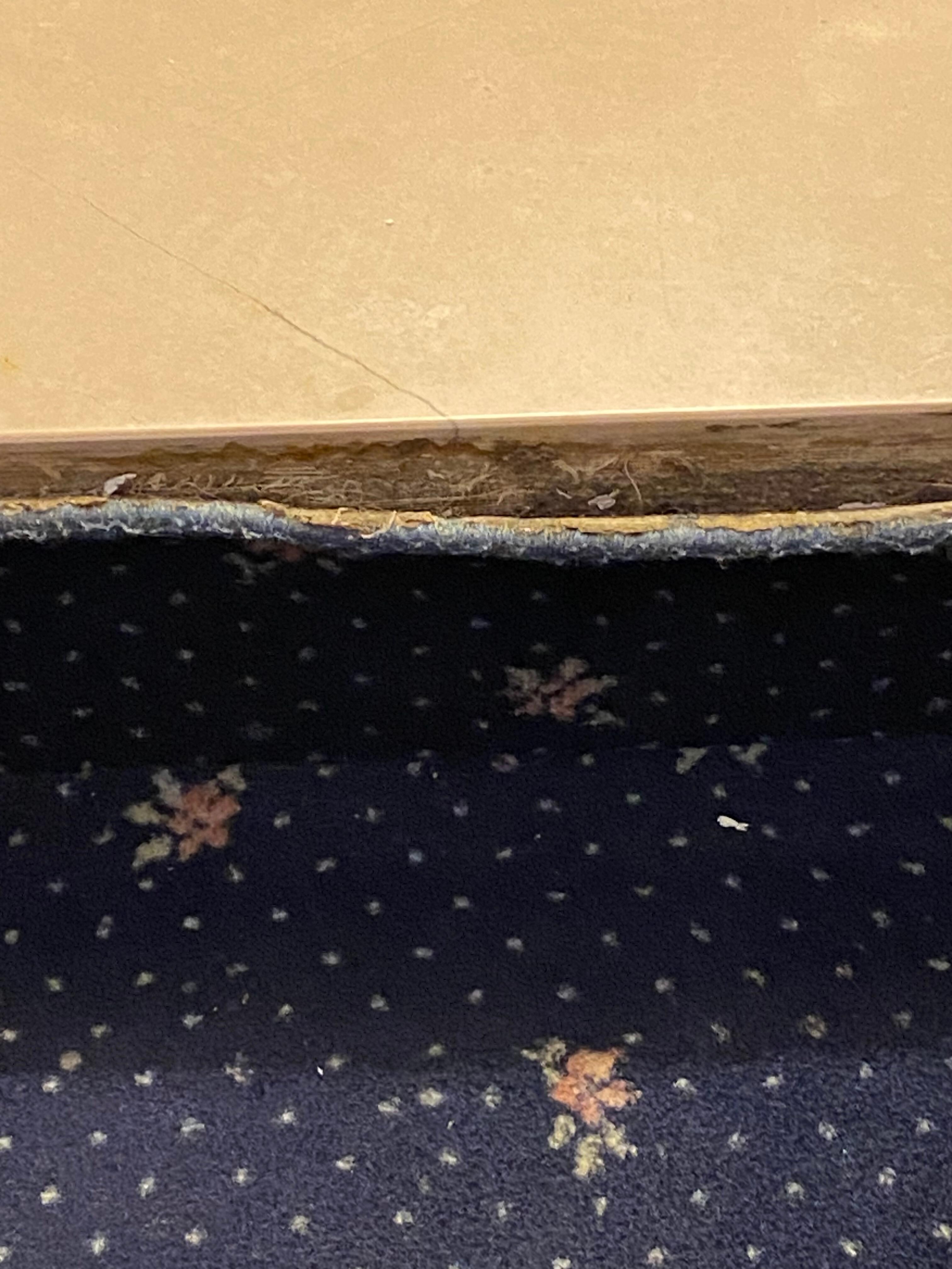 La moquette sale se décolle 