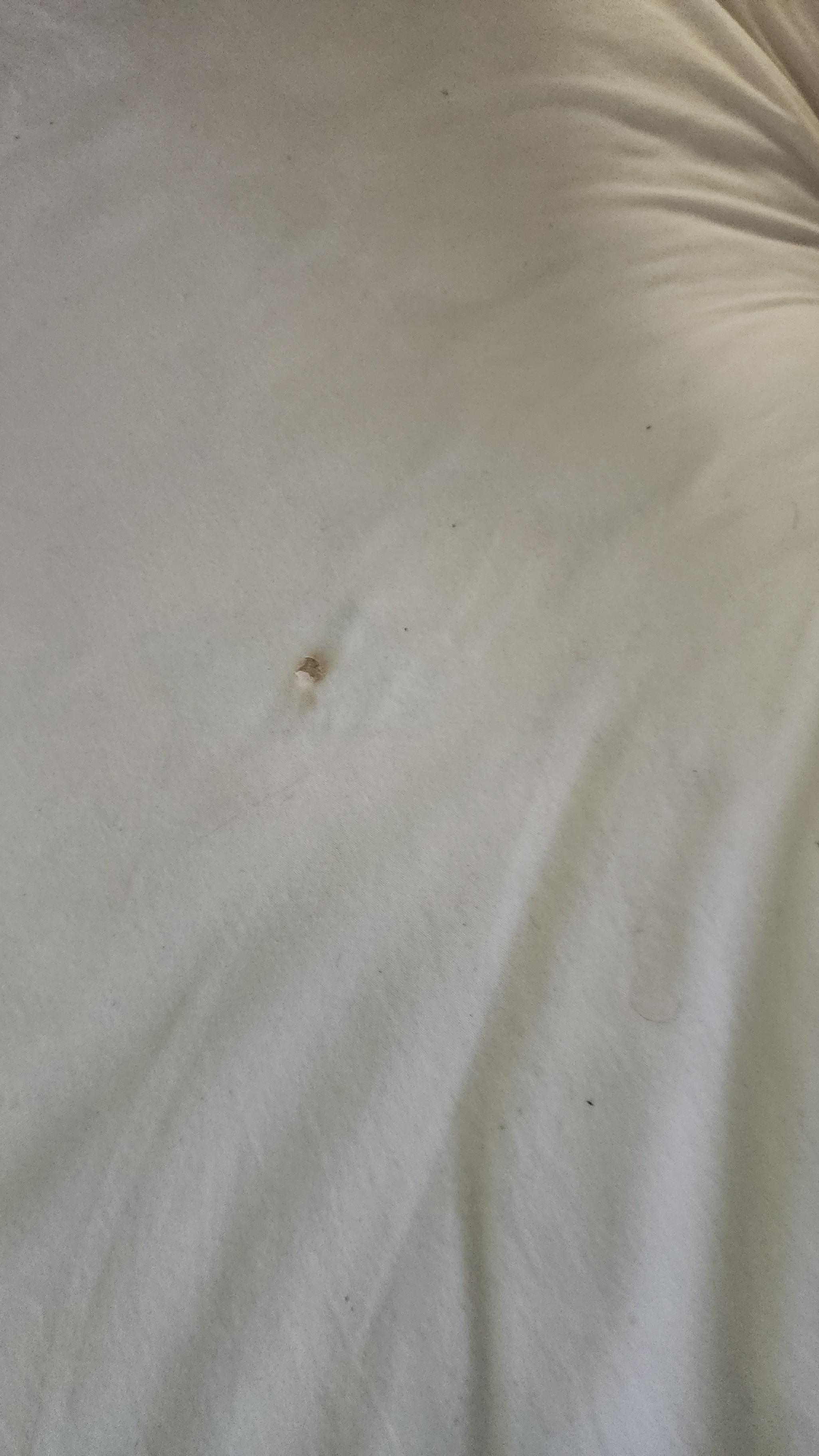 Hair on the sheets