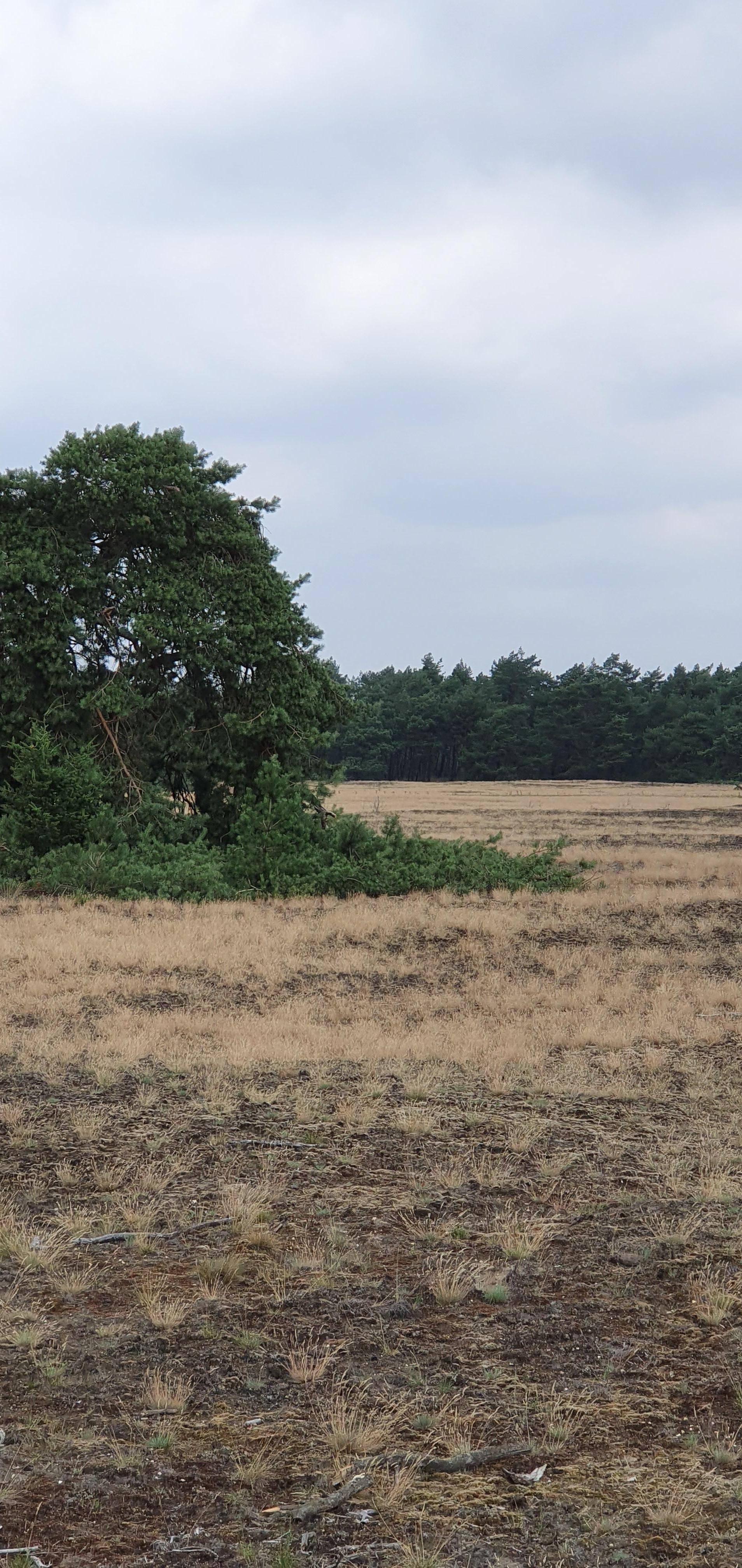 Heerlijk gefietst op de Hoge Veluwe 