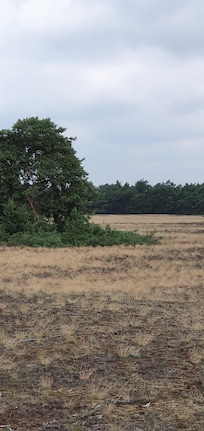 Heerlijk gefietst op de Hoge Veluwe