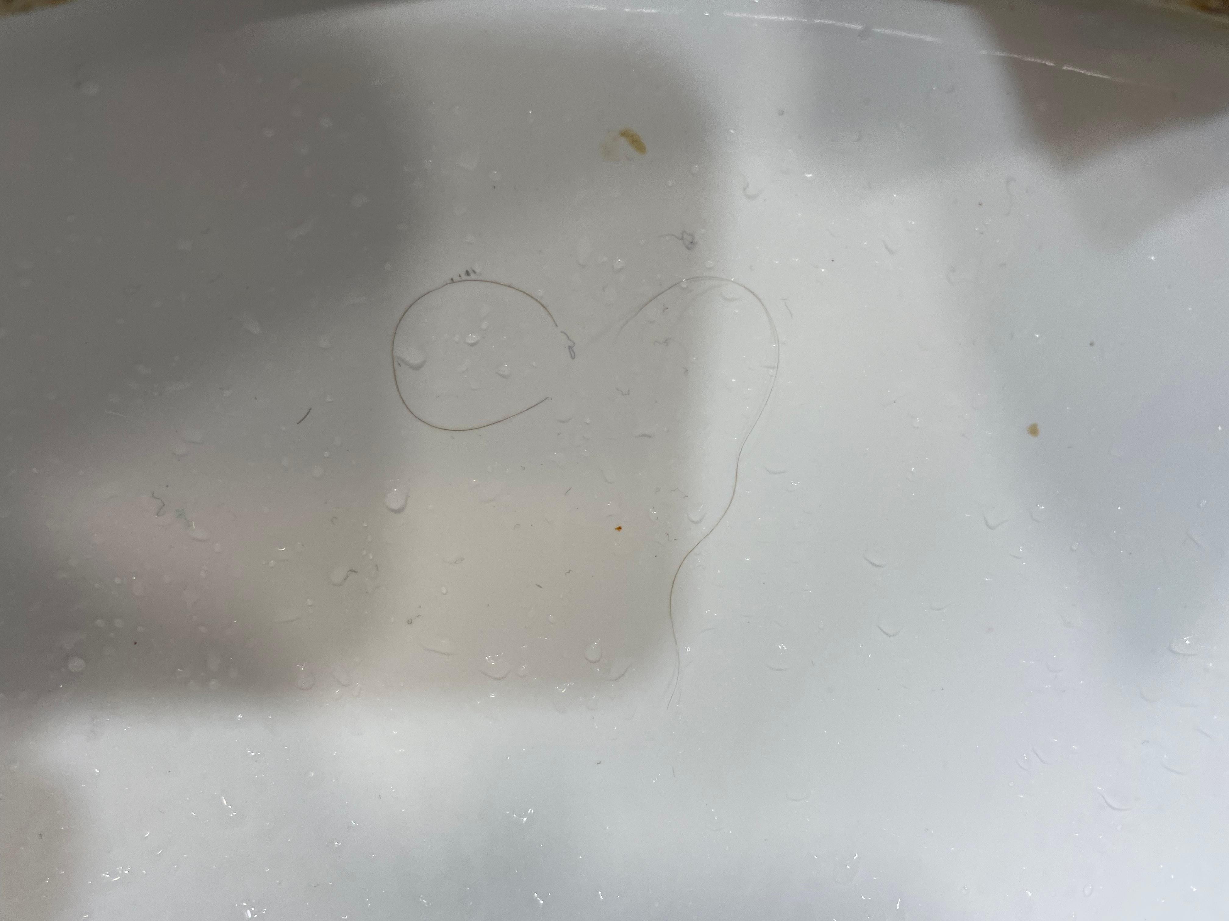 Hair in sink