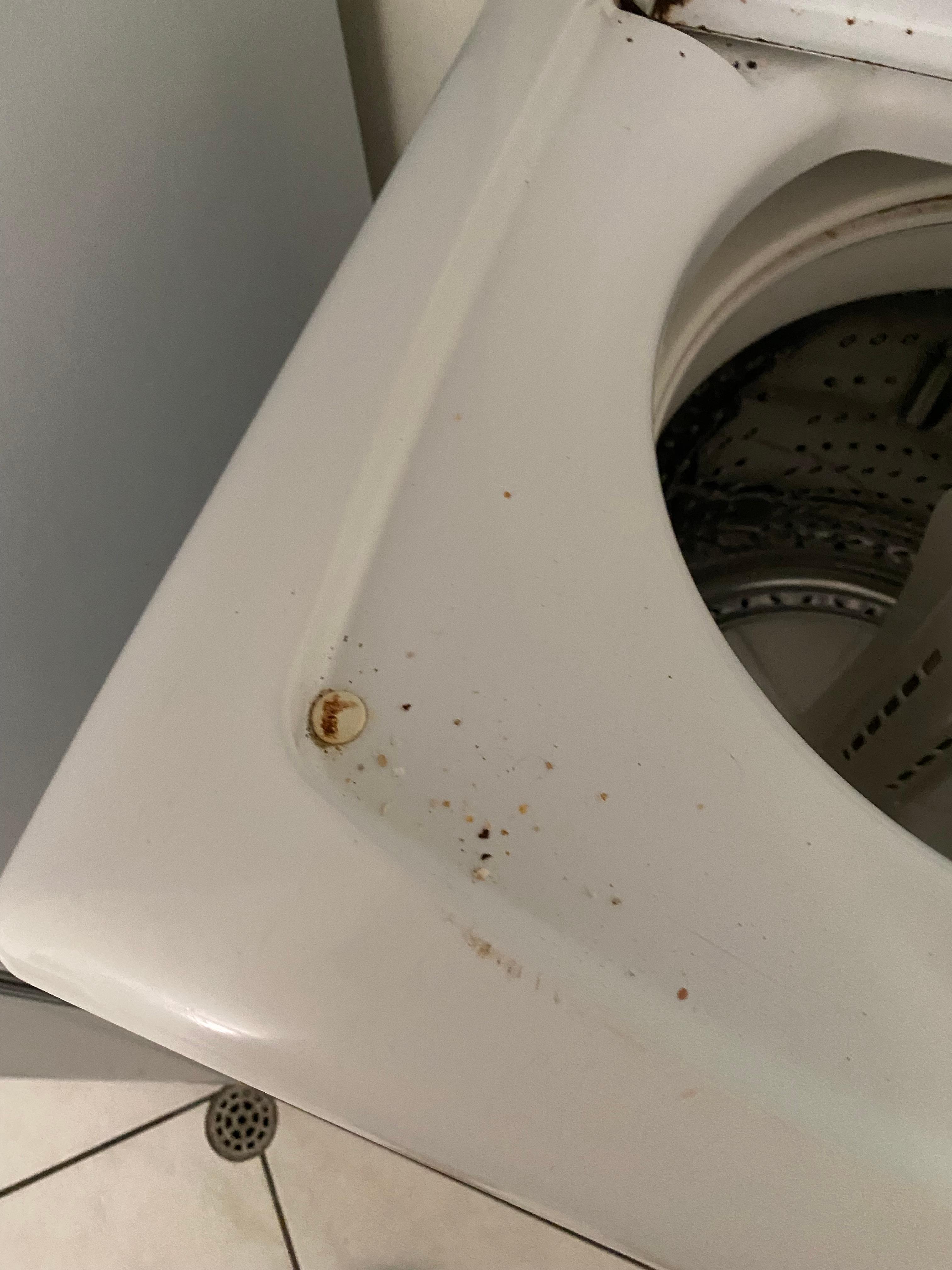 Not even the washing machine gets a clean