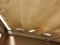 Mold on shower curtain