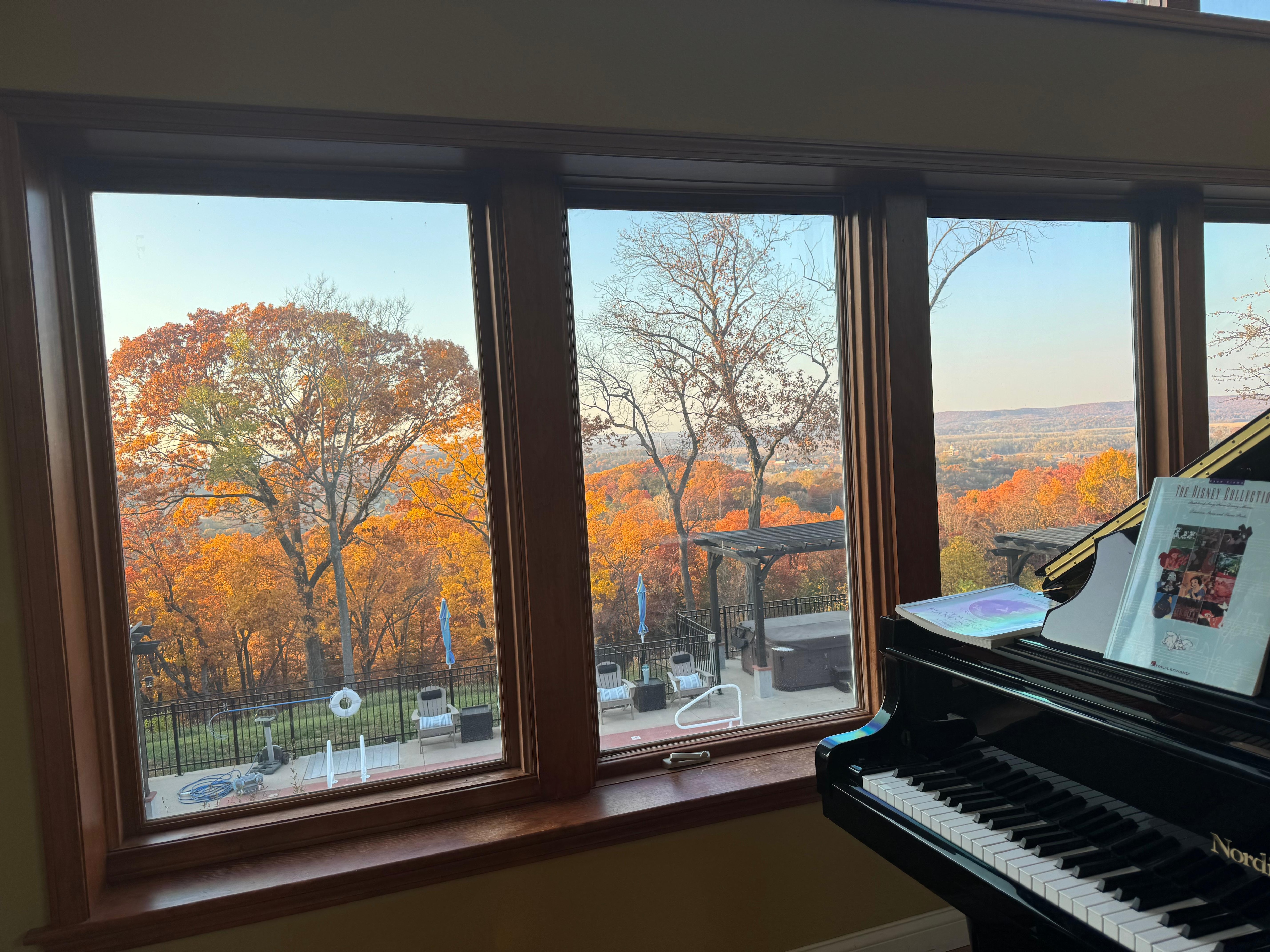 Loved the piano - which was also a “player piano” - & the view from the ‘living room’.