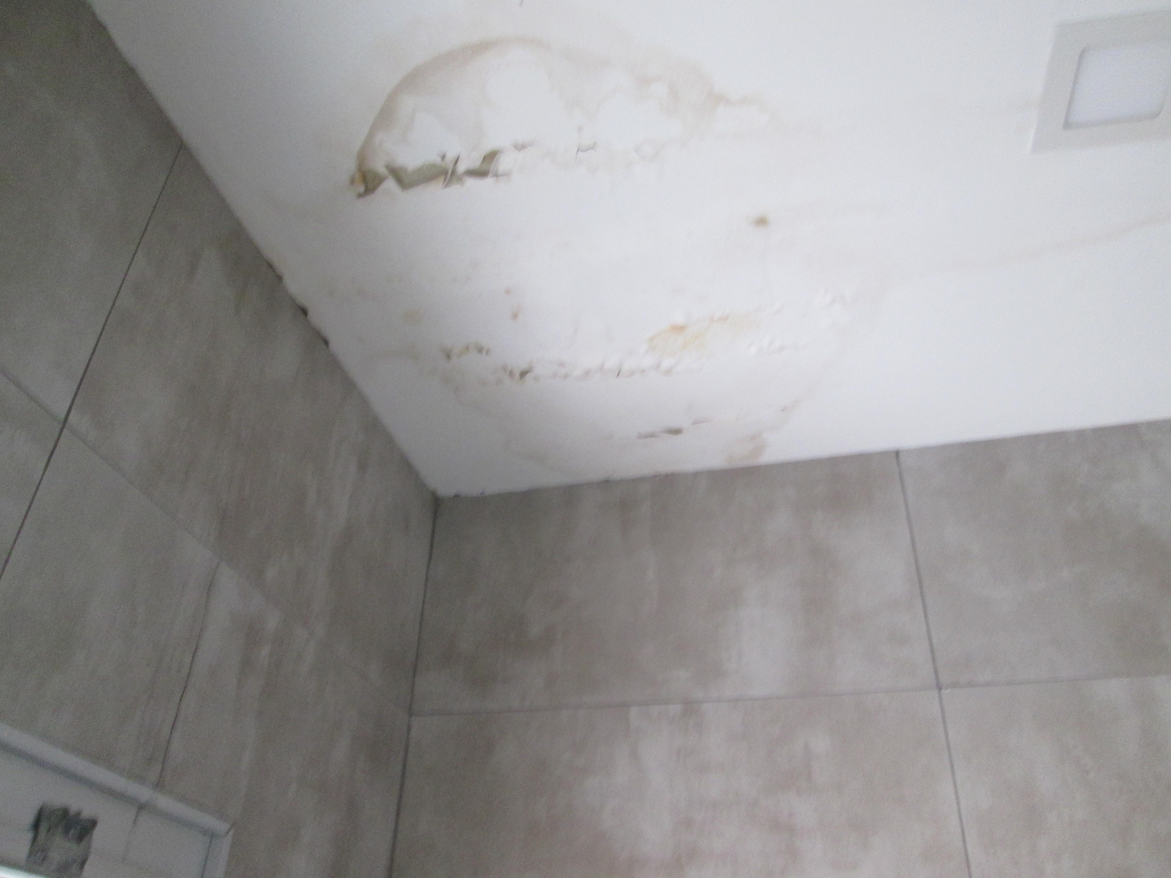 Damaged bathroom ceiling