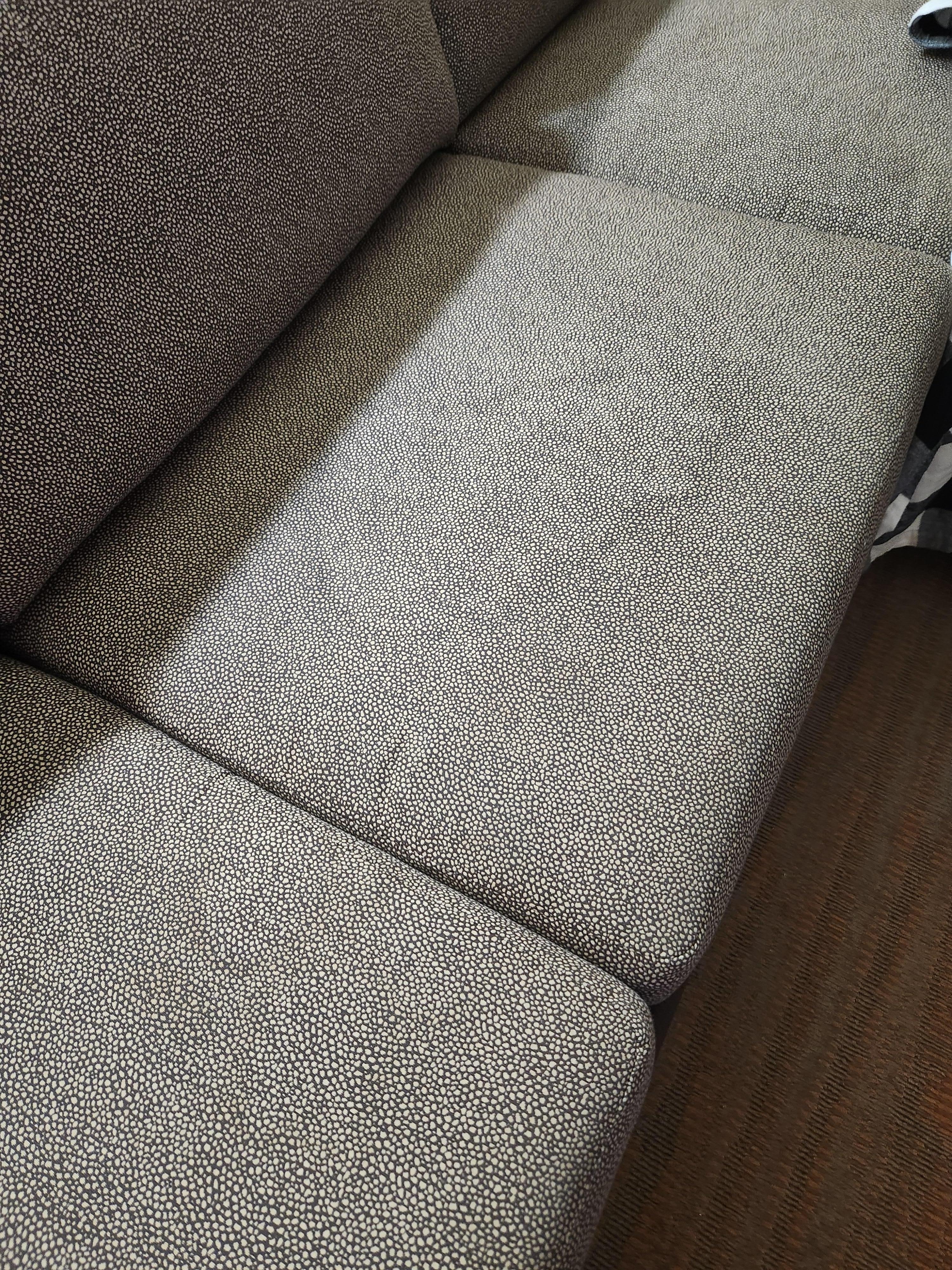 sofa stains on both sides of cushions