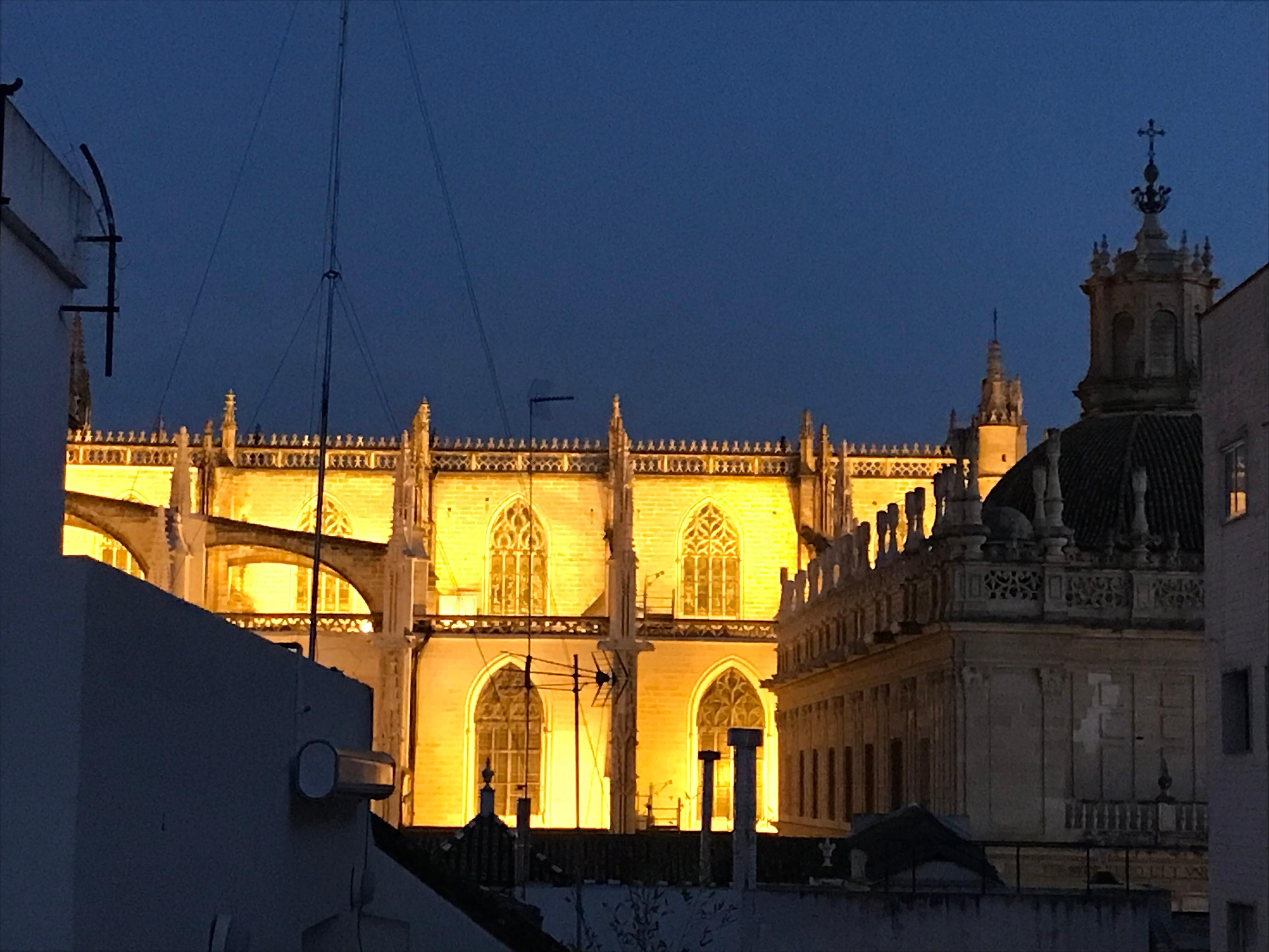 View from the outdoor terrace!