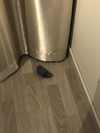 Sokker fra tidligere gjest.