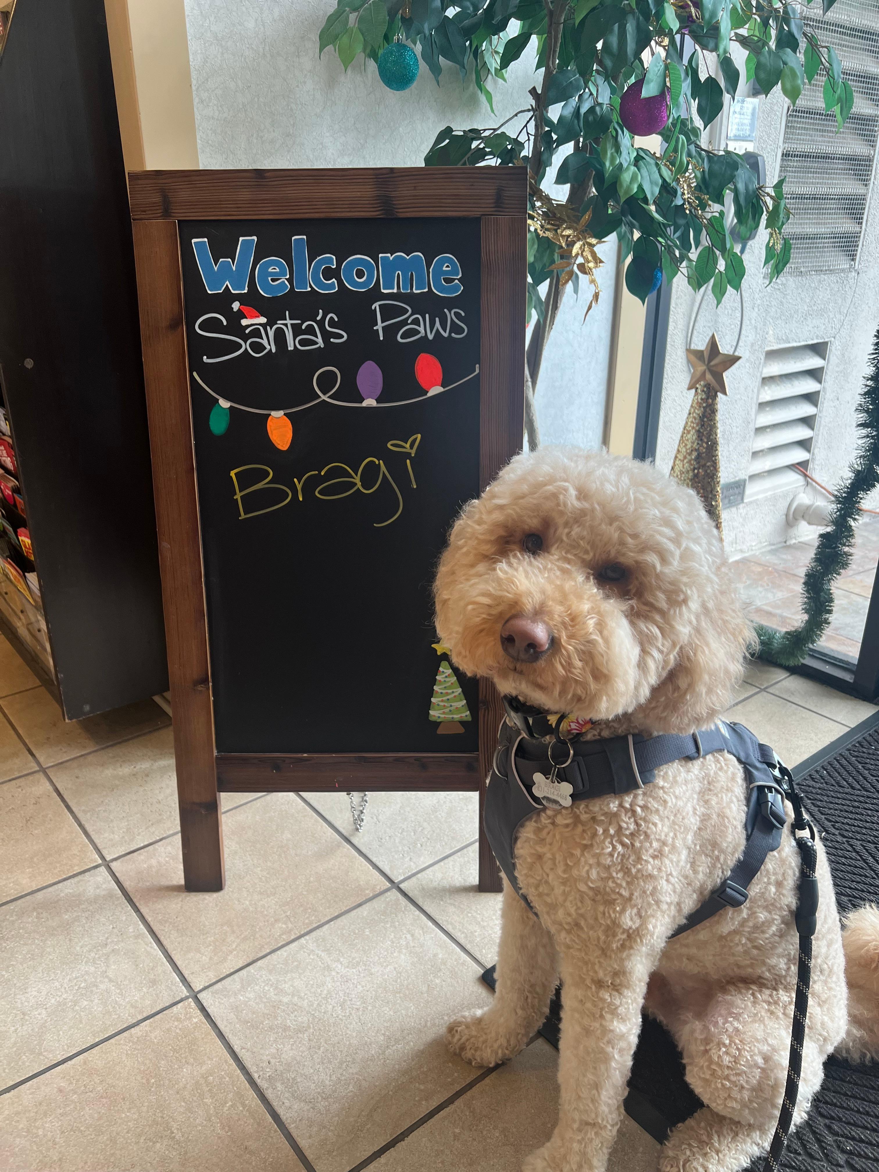 It says "Welcome Santa's Paws" with my dog's name in a sign by the front door.