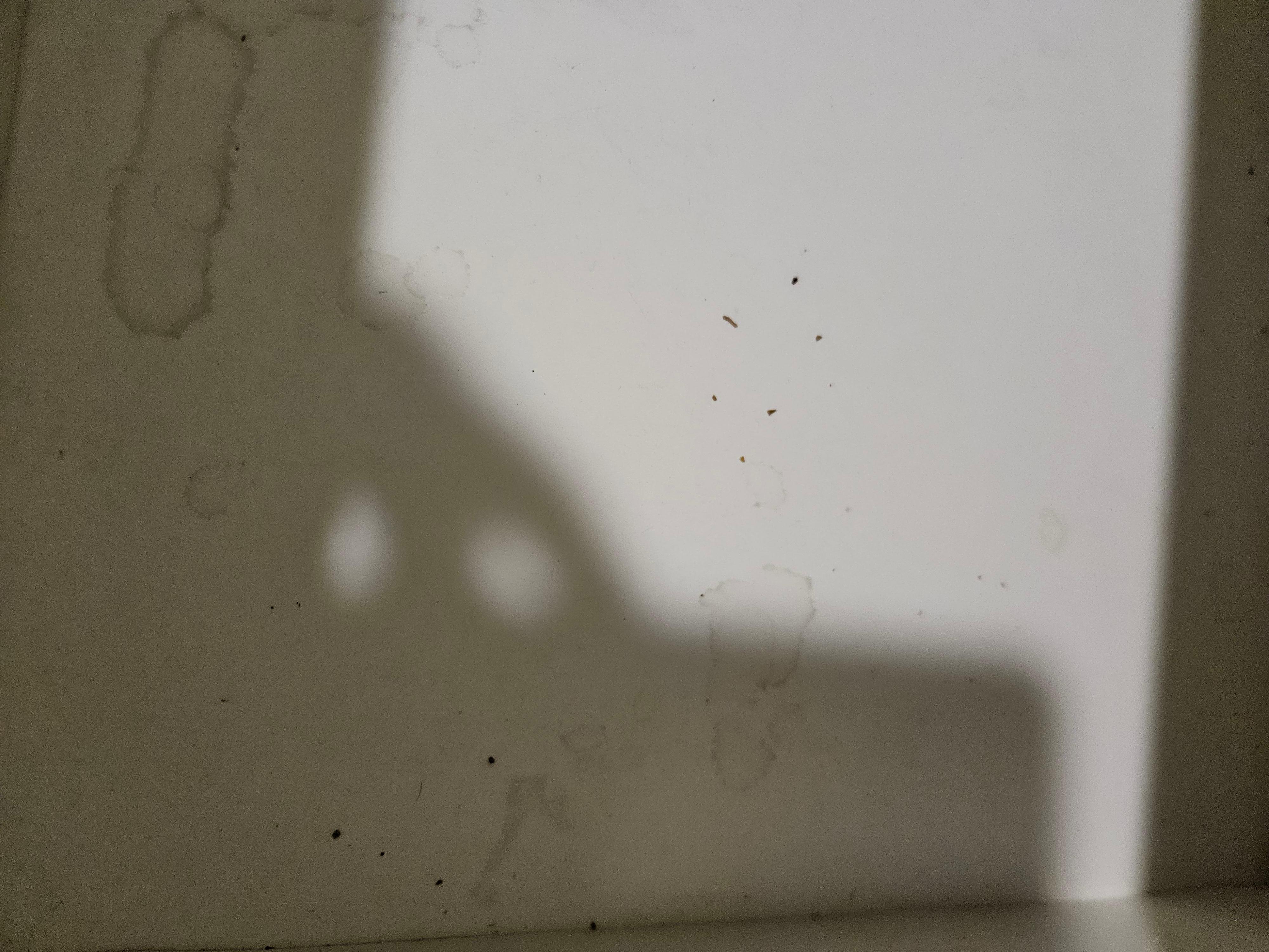 Water spots on ceiling