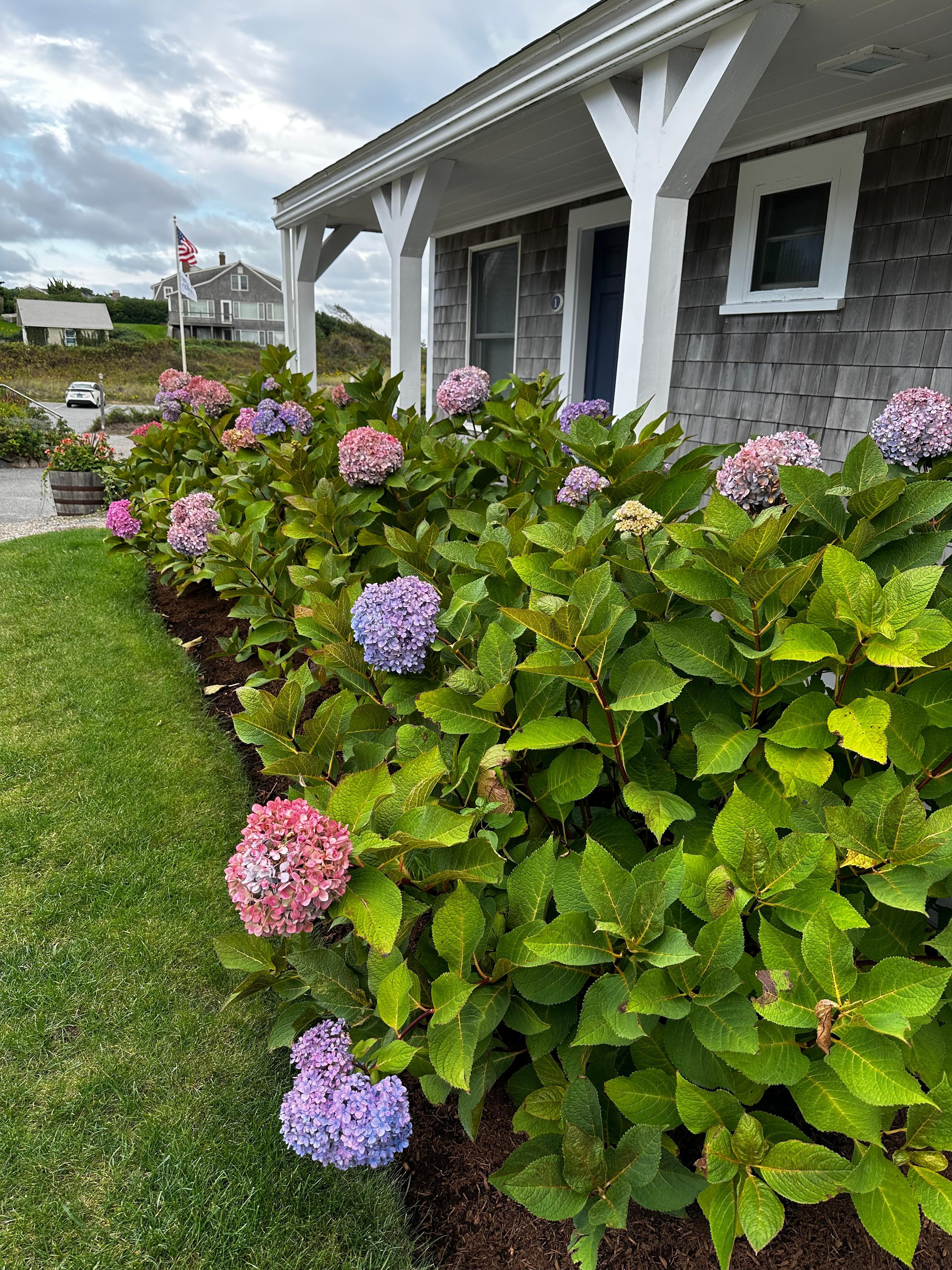 Beautiful landscaping in front of our hotel room entry. 