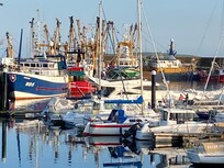 Kilmore Quay is twenty minutes from the hotel.