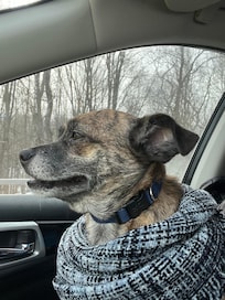 Enjoying the ride and stay- Charles