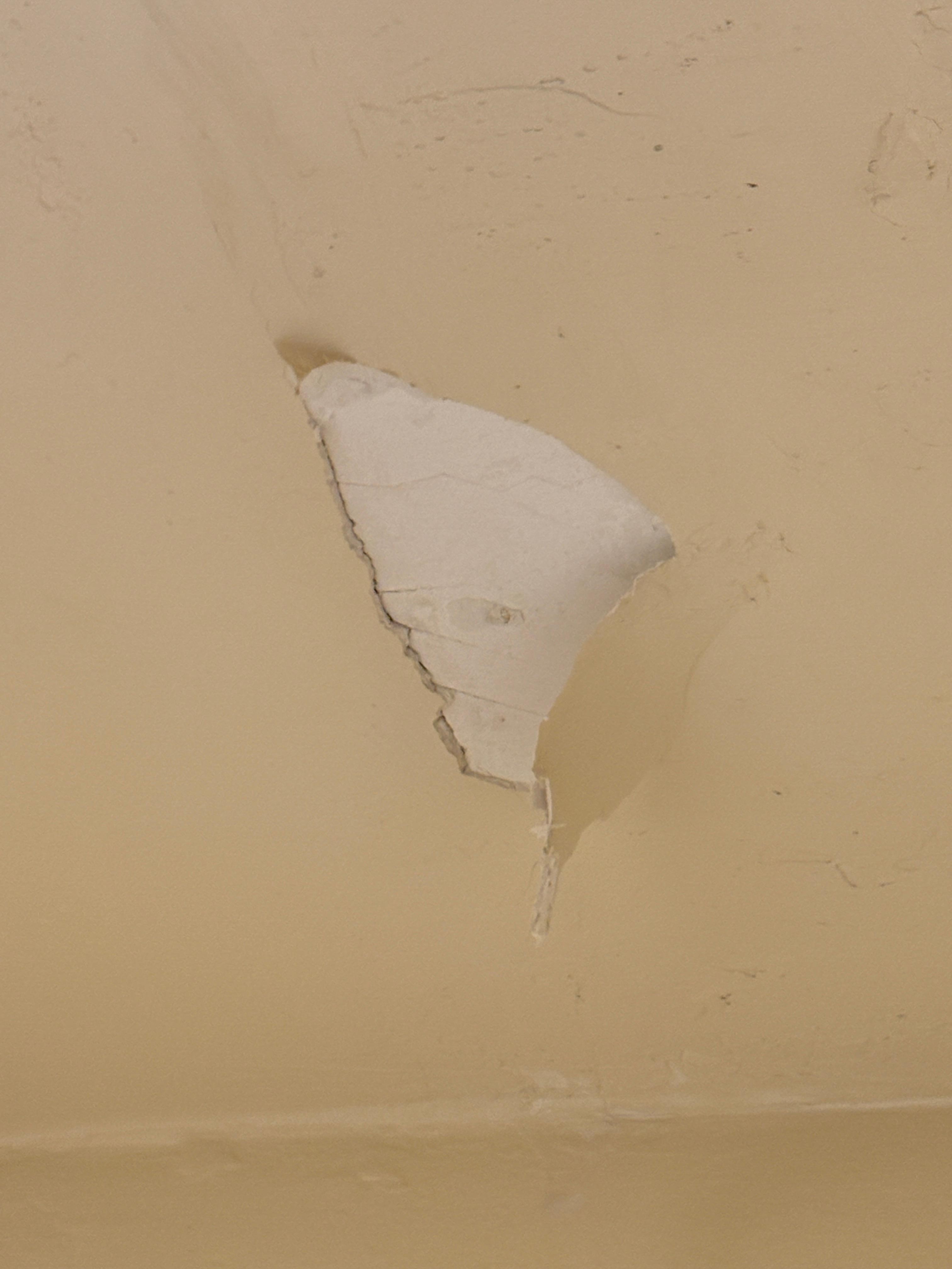 Shower ceiling