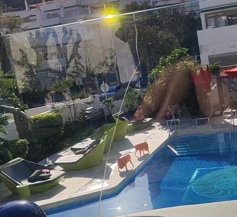 Añado fotos de como estan todos los cristales por la piscina, y junto a esos cristales rajados tienes que acostarte tu en  las camas balinesas. 