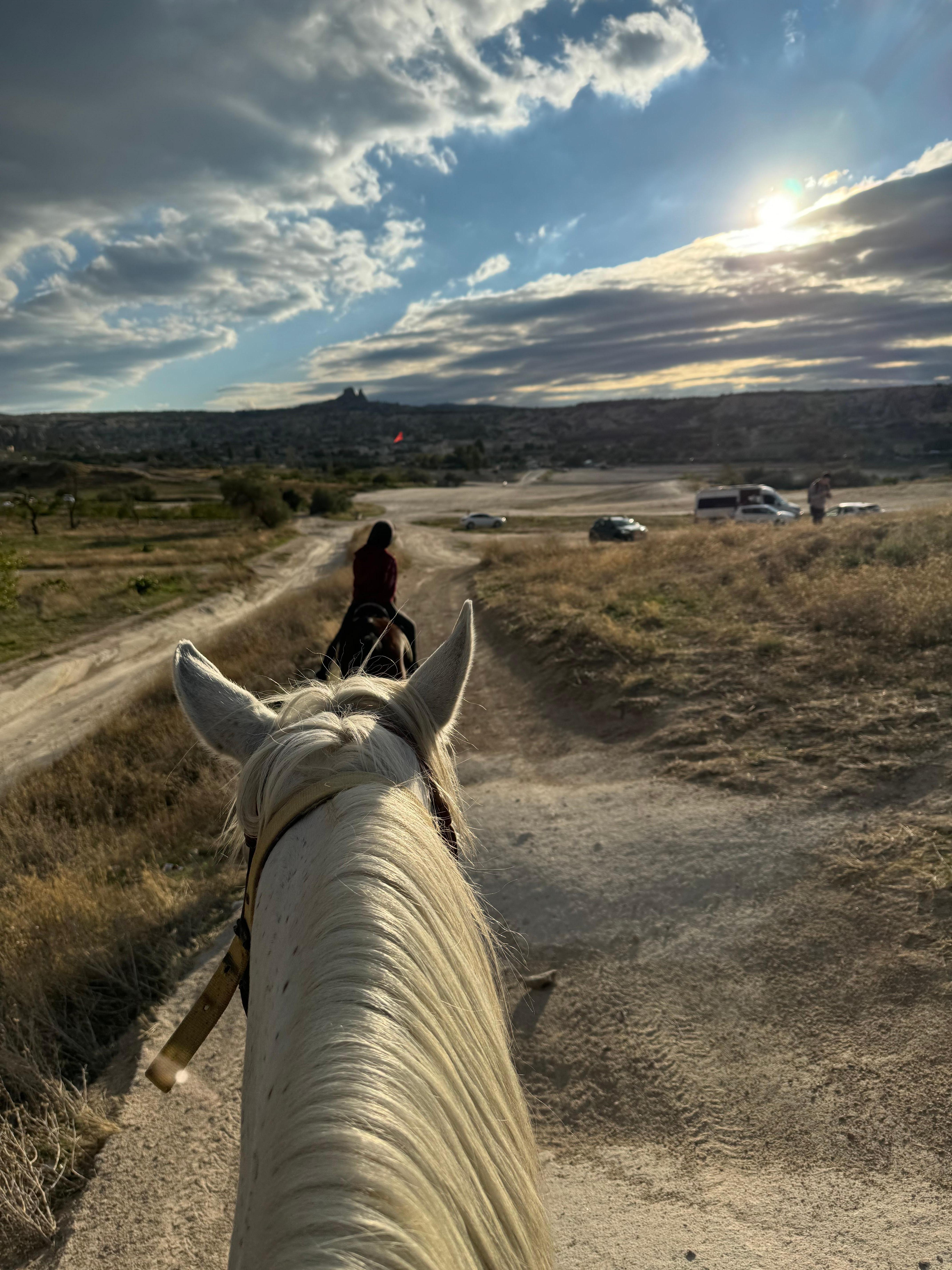 Horseback Tour