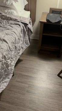 Roaches dead bedside floor