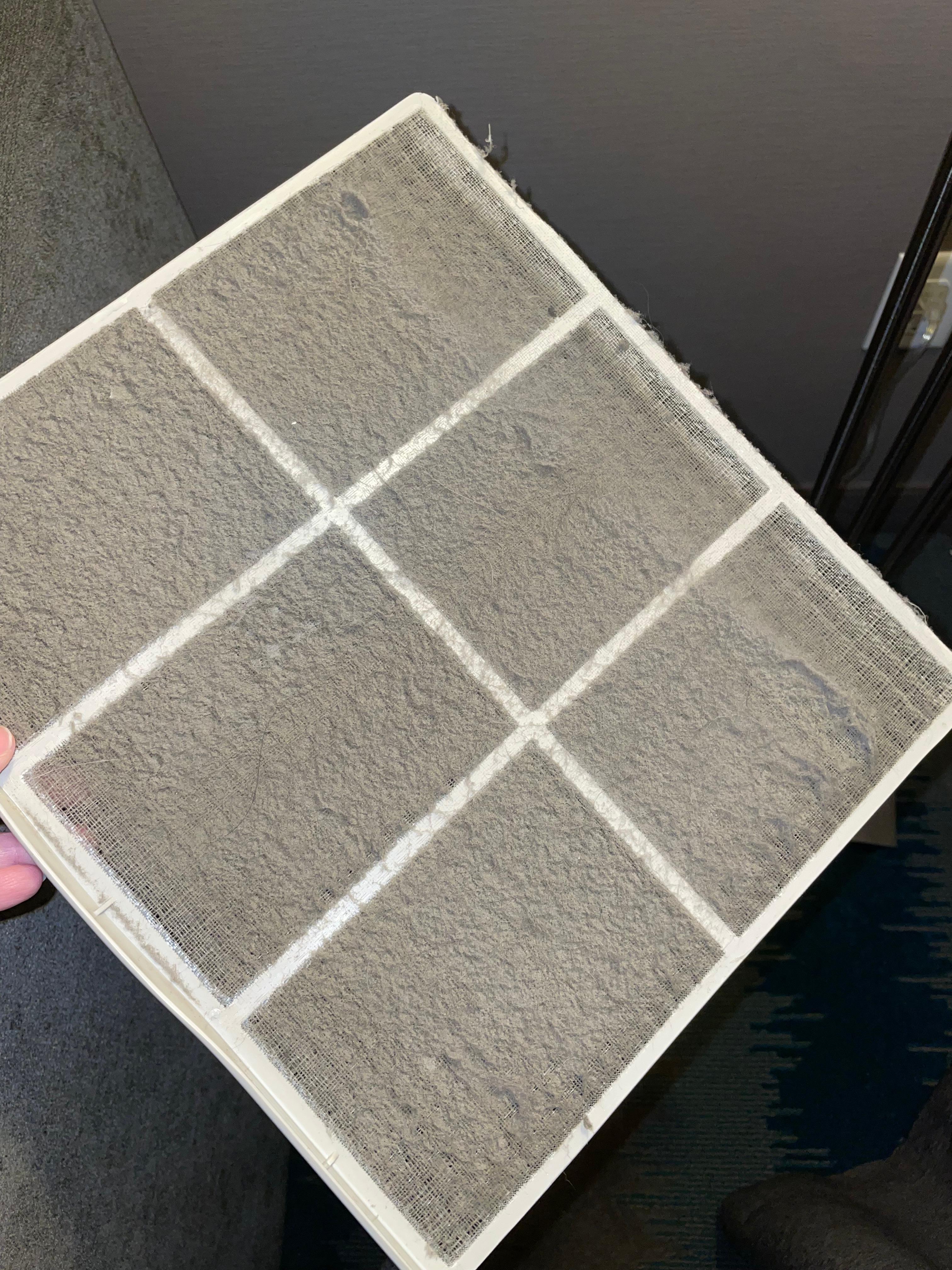 A filter from one of the PTAC units. They were equally as bad.