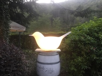 Loved this illuminated bird