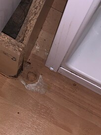 Dried milk on floor. Floor clearly hadn’t been cleaned.