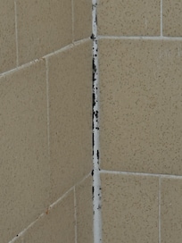 Black mold in shower