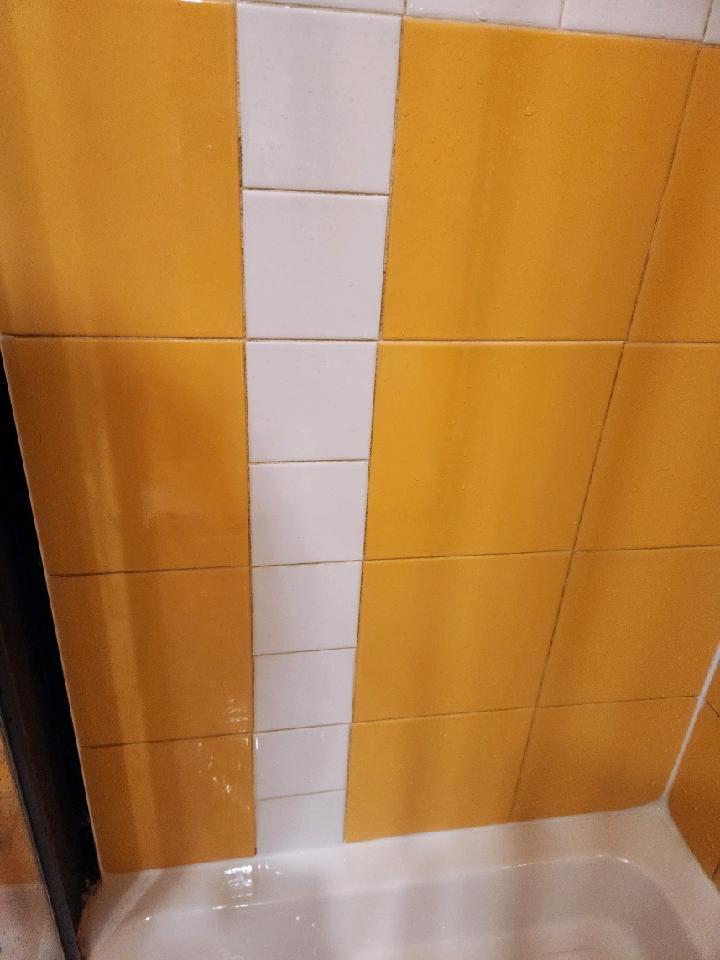 Moldy grout in bathroom