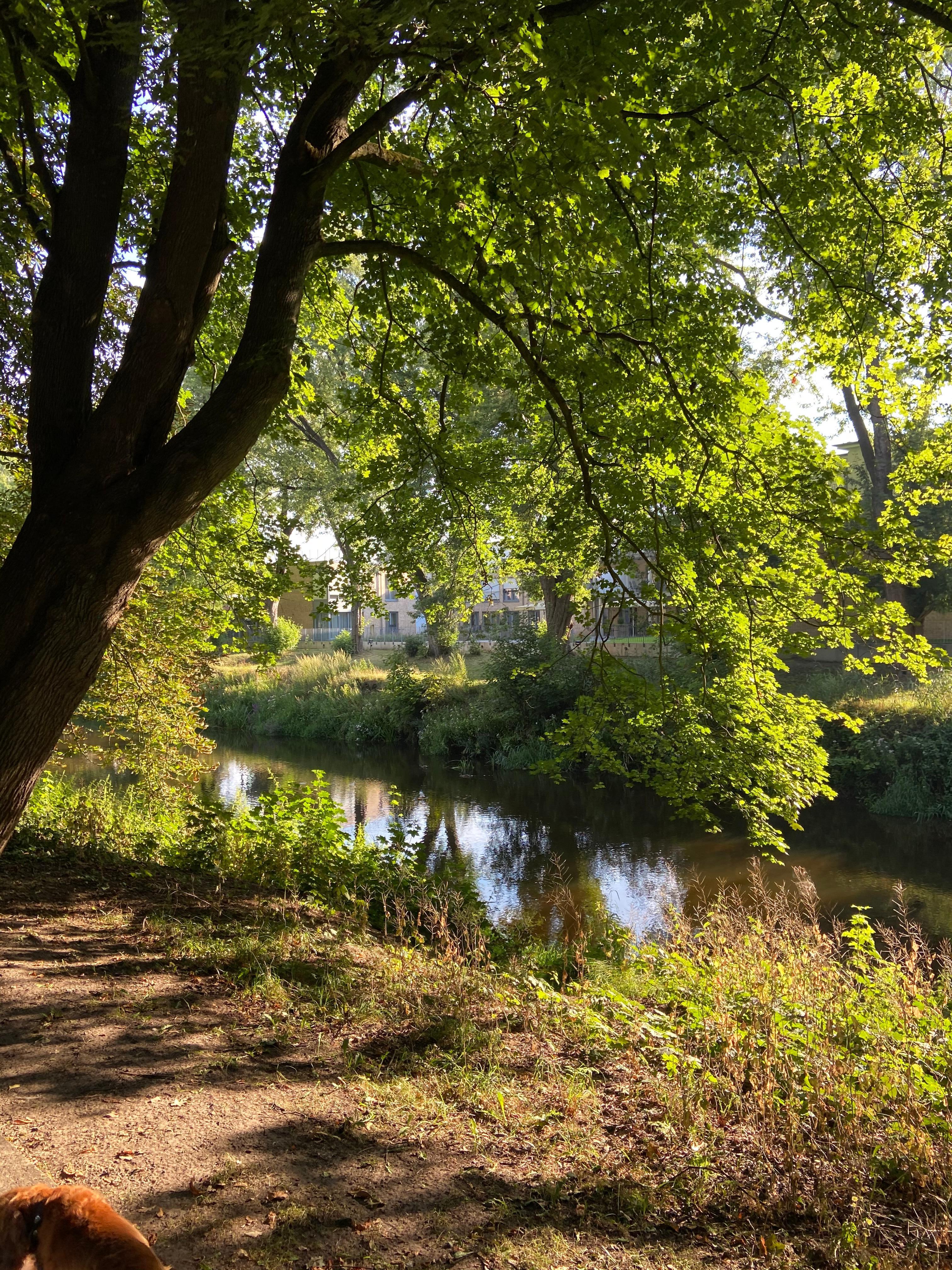 Nearby river