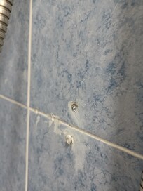 Trous dans la douche
