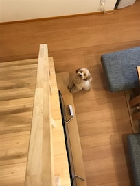 床暖房が嬉しい😆ロフトの階段は急ですが、秘密基地みたいです
