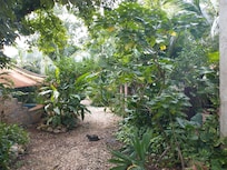 Inside the property