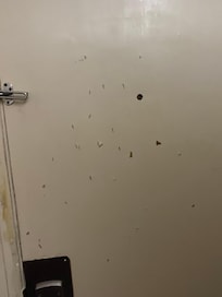 Todo está picoteado con navajas