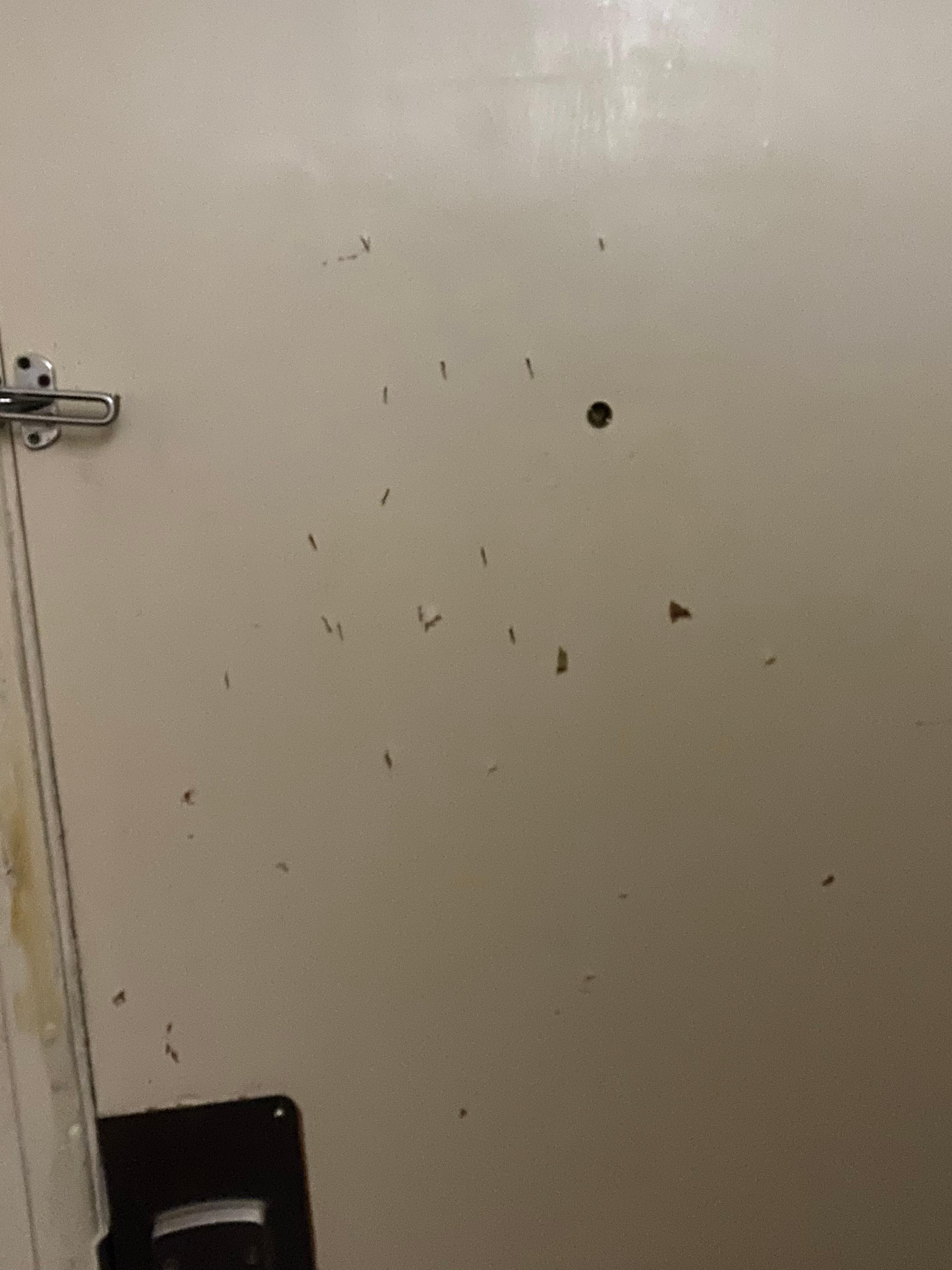 Todo está picoteado con navajas