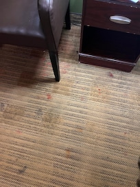 Stained carpet