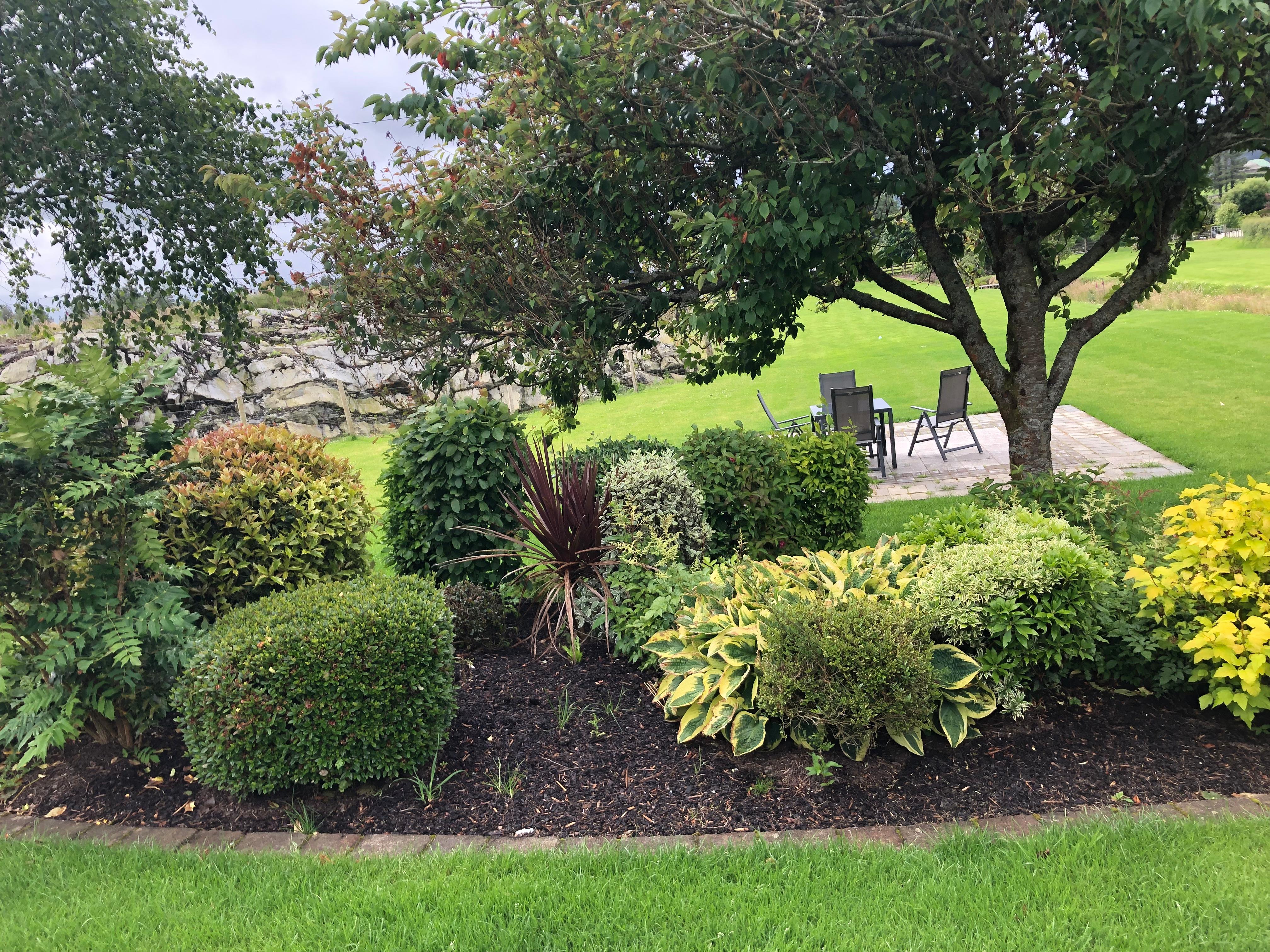 Side garden and patio