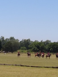 Polo