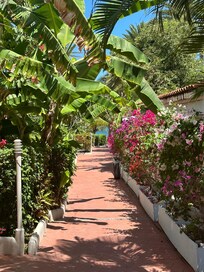 Walkway to the beach