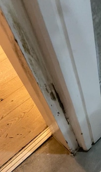 Mold and mildew on bathroom doorframe.