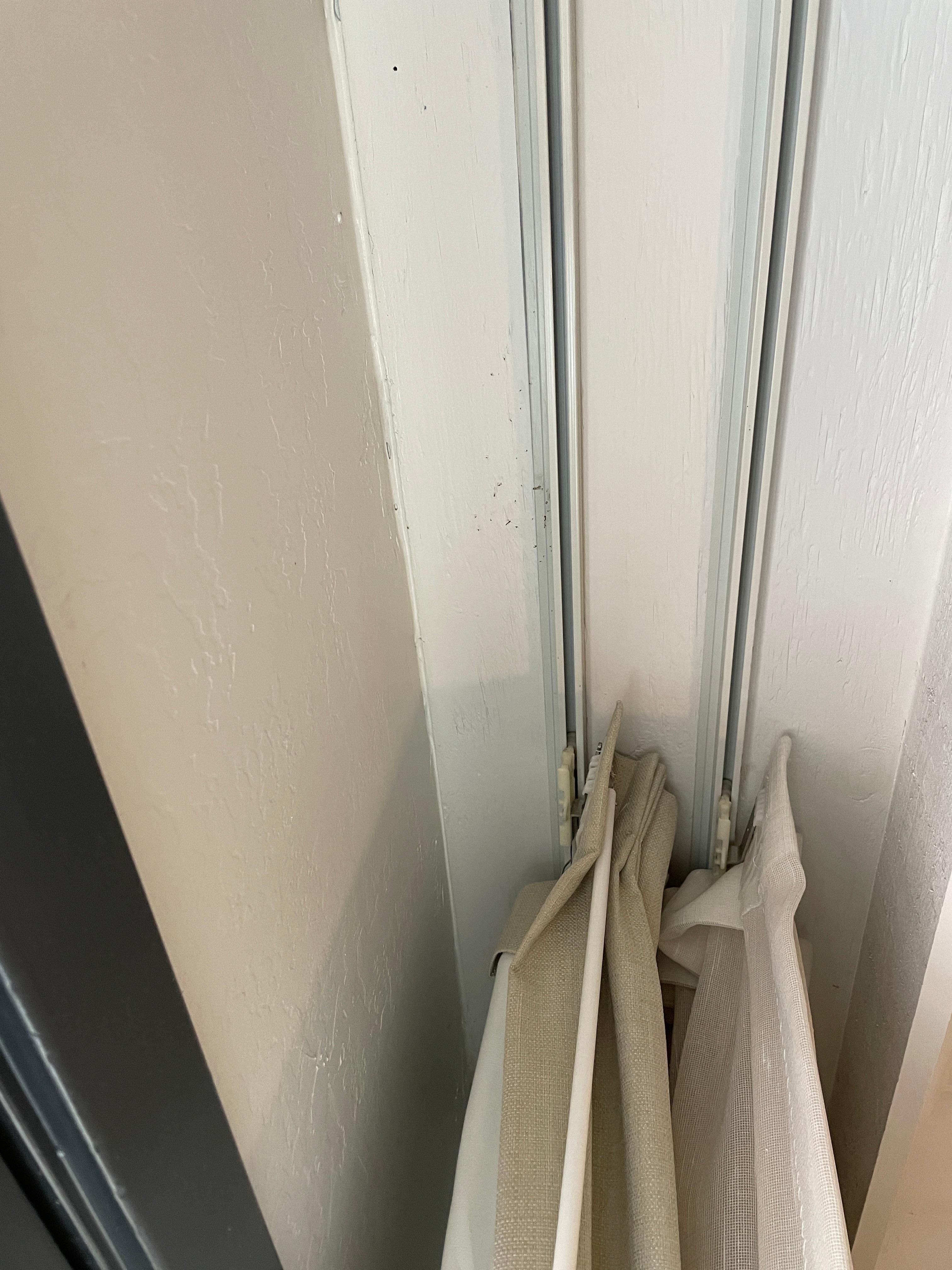 Dead bugs behind the curtains