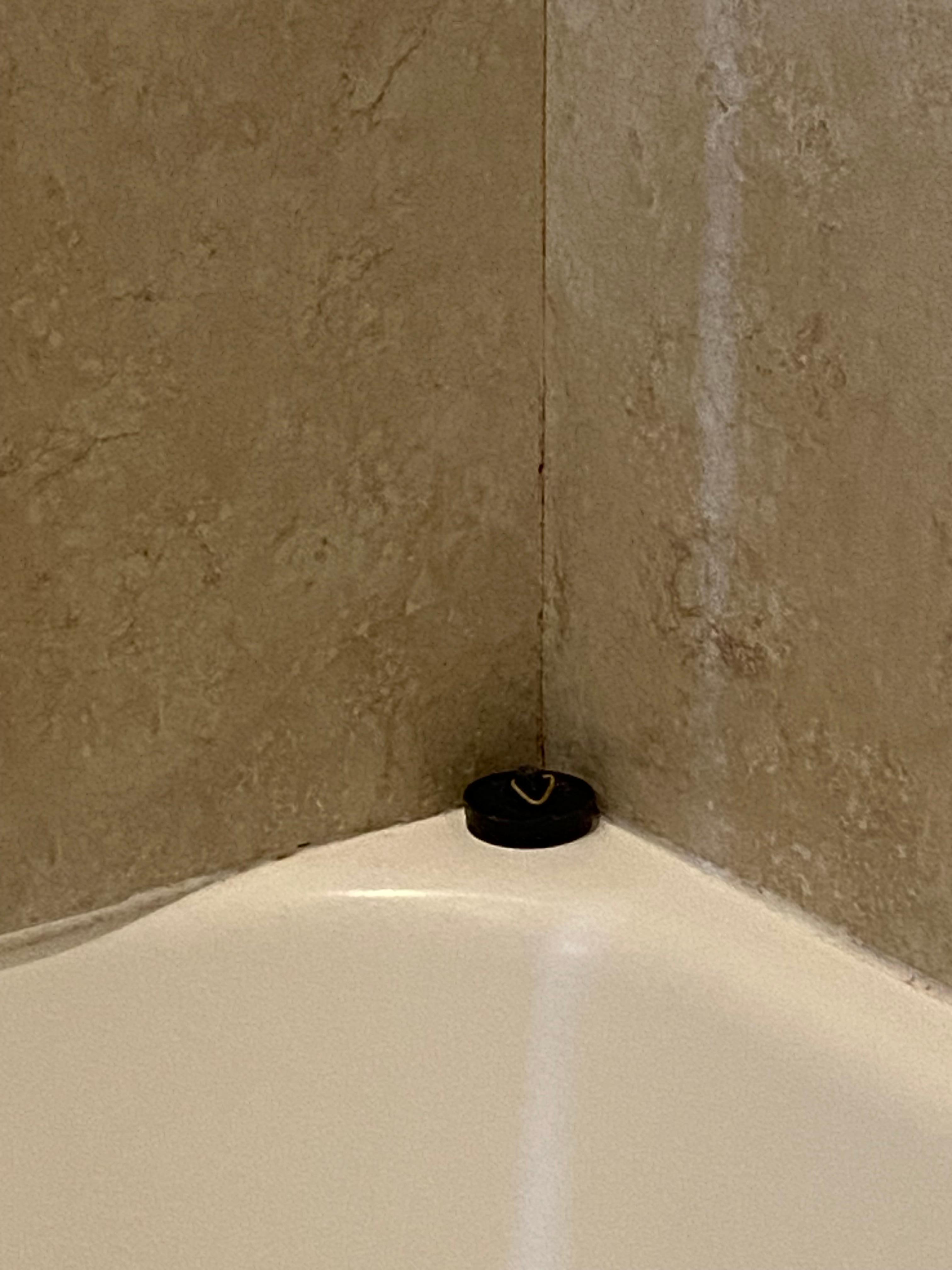 Old bath plug