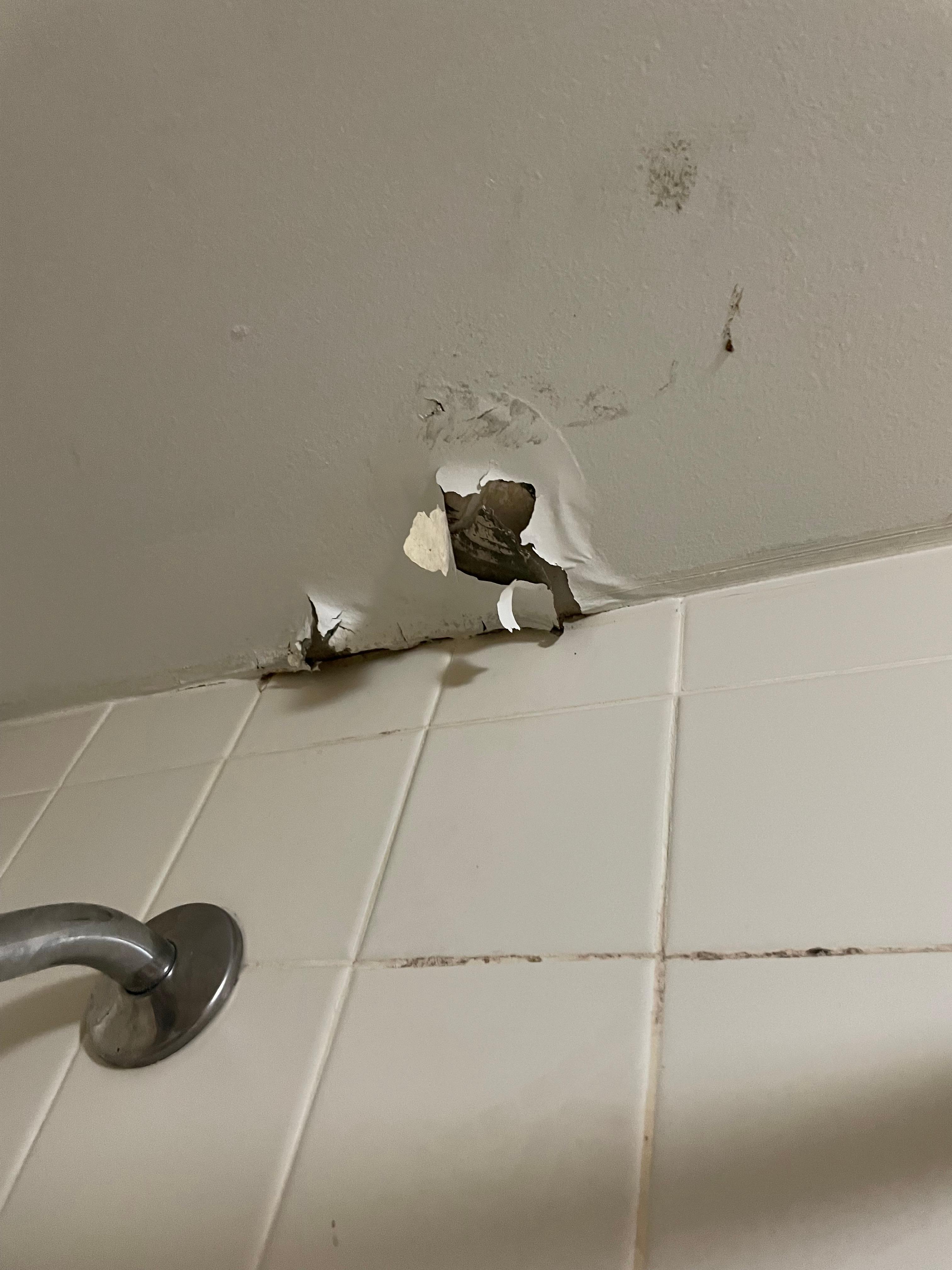 Bathroom ceiling in disrepair 