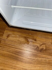 The refrigerator leaked water in spite of the door being closed and no containers inside (i.e. Insulin) leaking.
